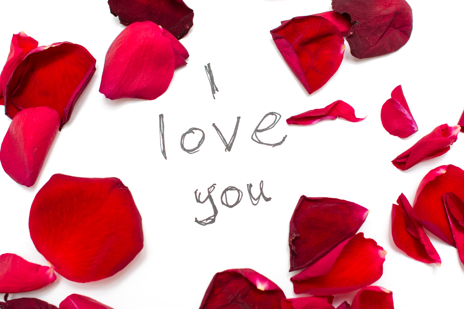 Foap Com Red Rose Petals With Love Word Text Message Isolated In Red Rose Petals With Love Word Text Message Isolated In White Background