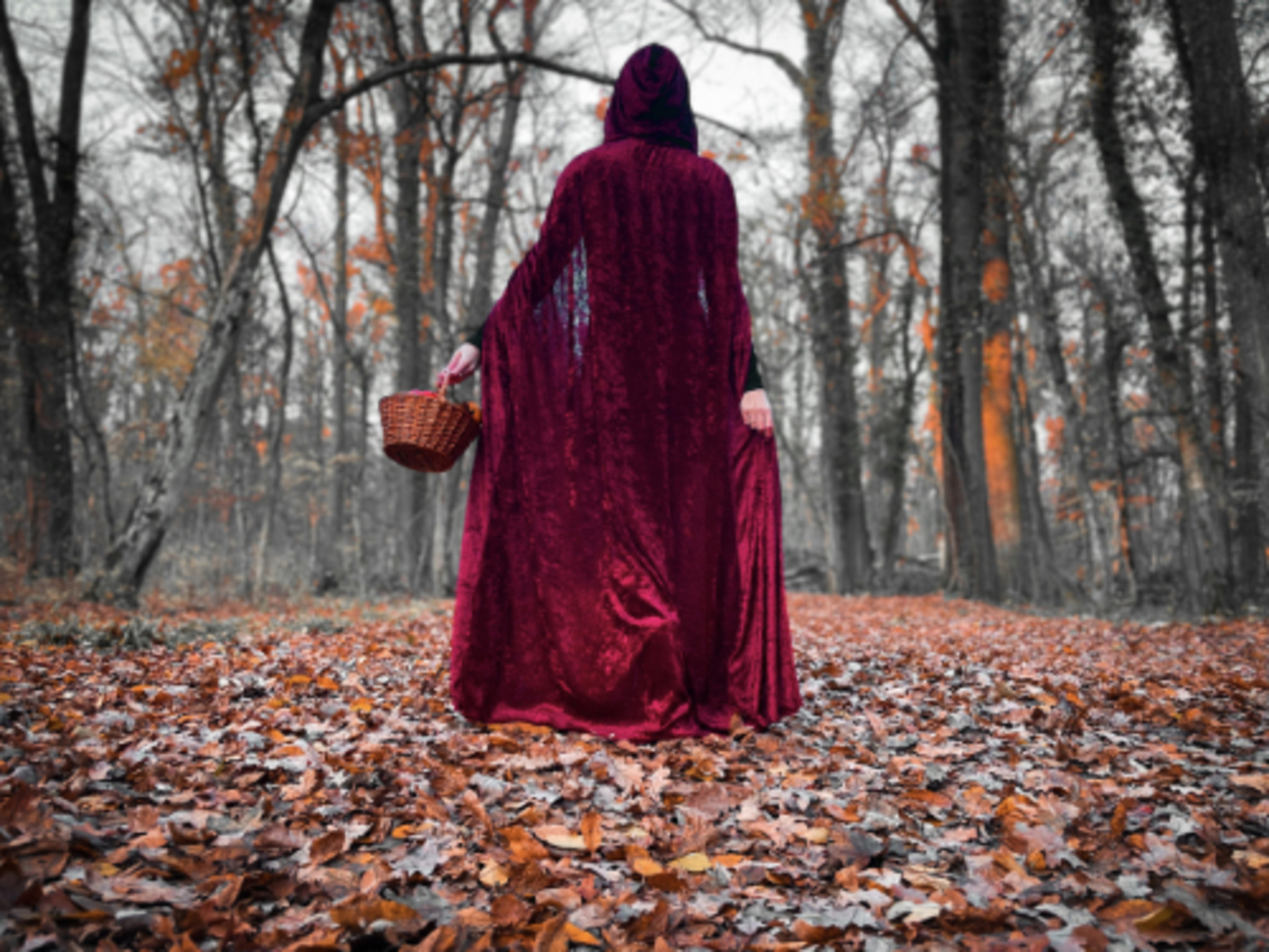 Viva Magenta! Pantone's Color of the Year 2023 example photo