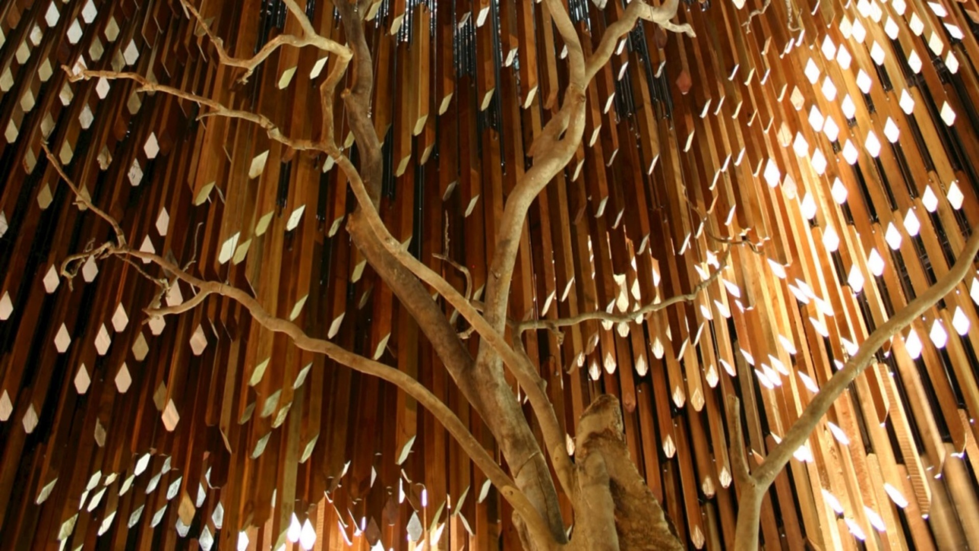 Express Knowledge, Creativity, Strategy, Advocacy  example photo