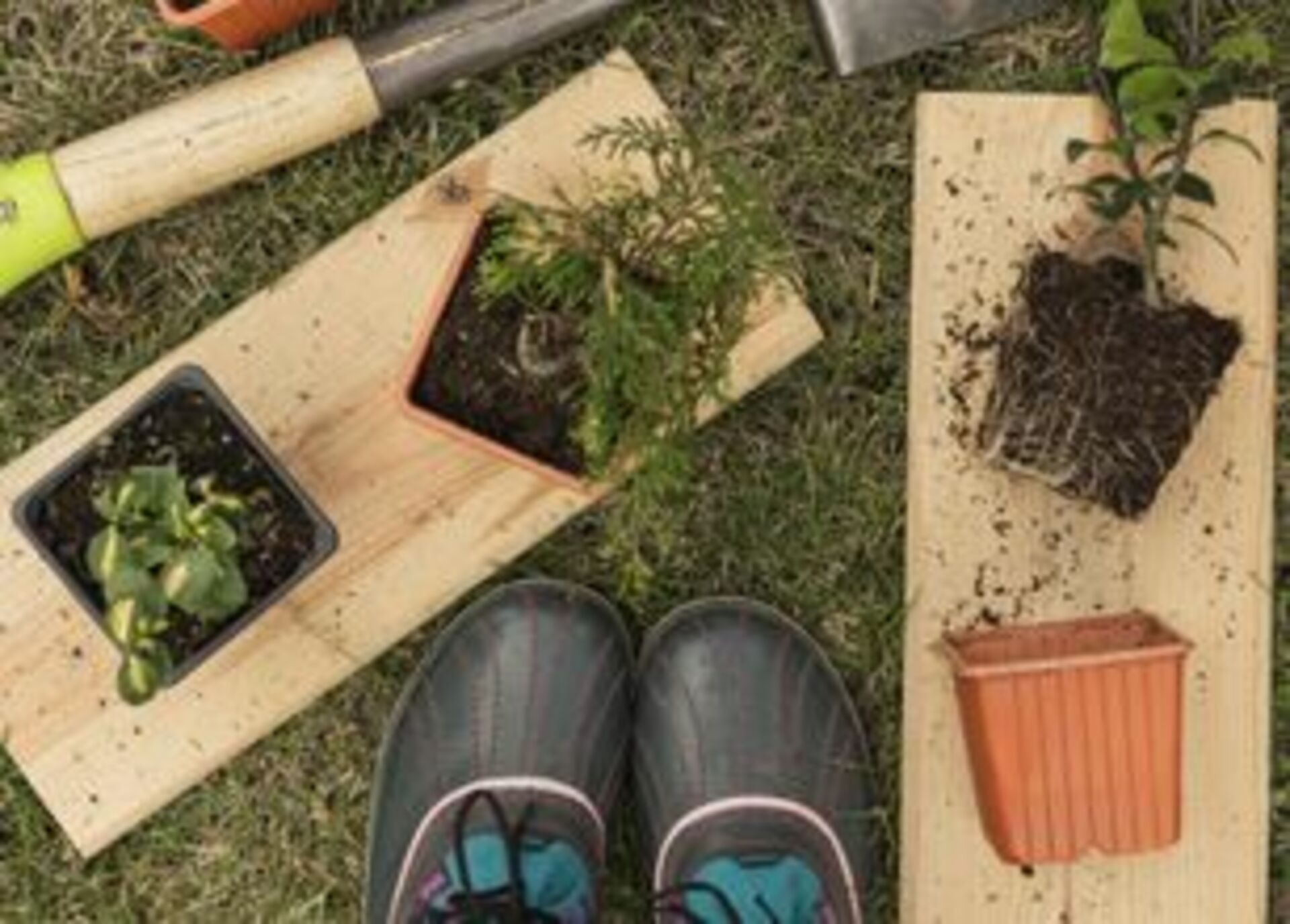 Battle: Summer vs. Spring example photo