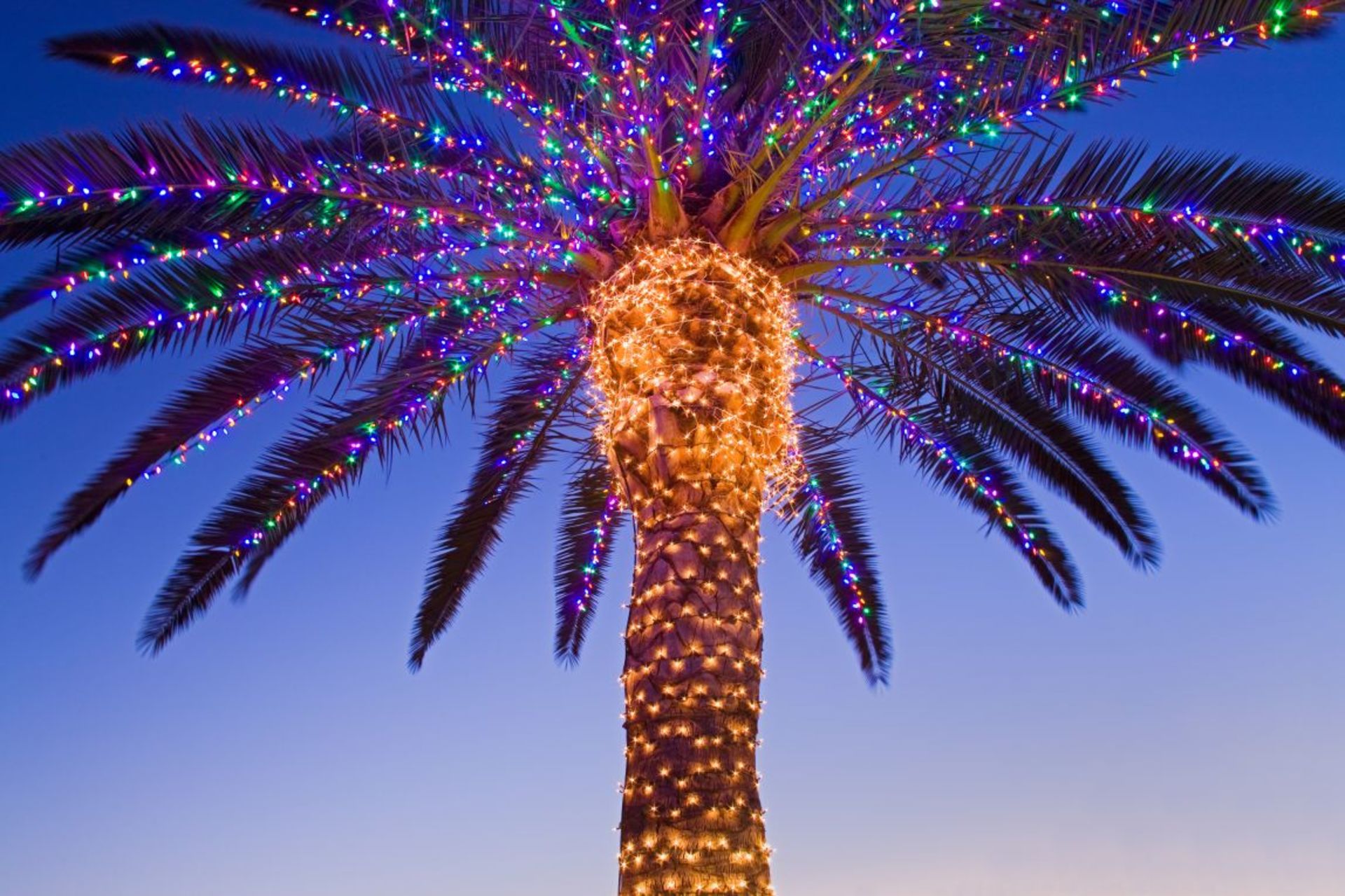 Winter Trips example photo