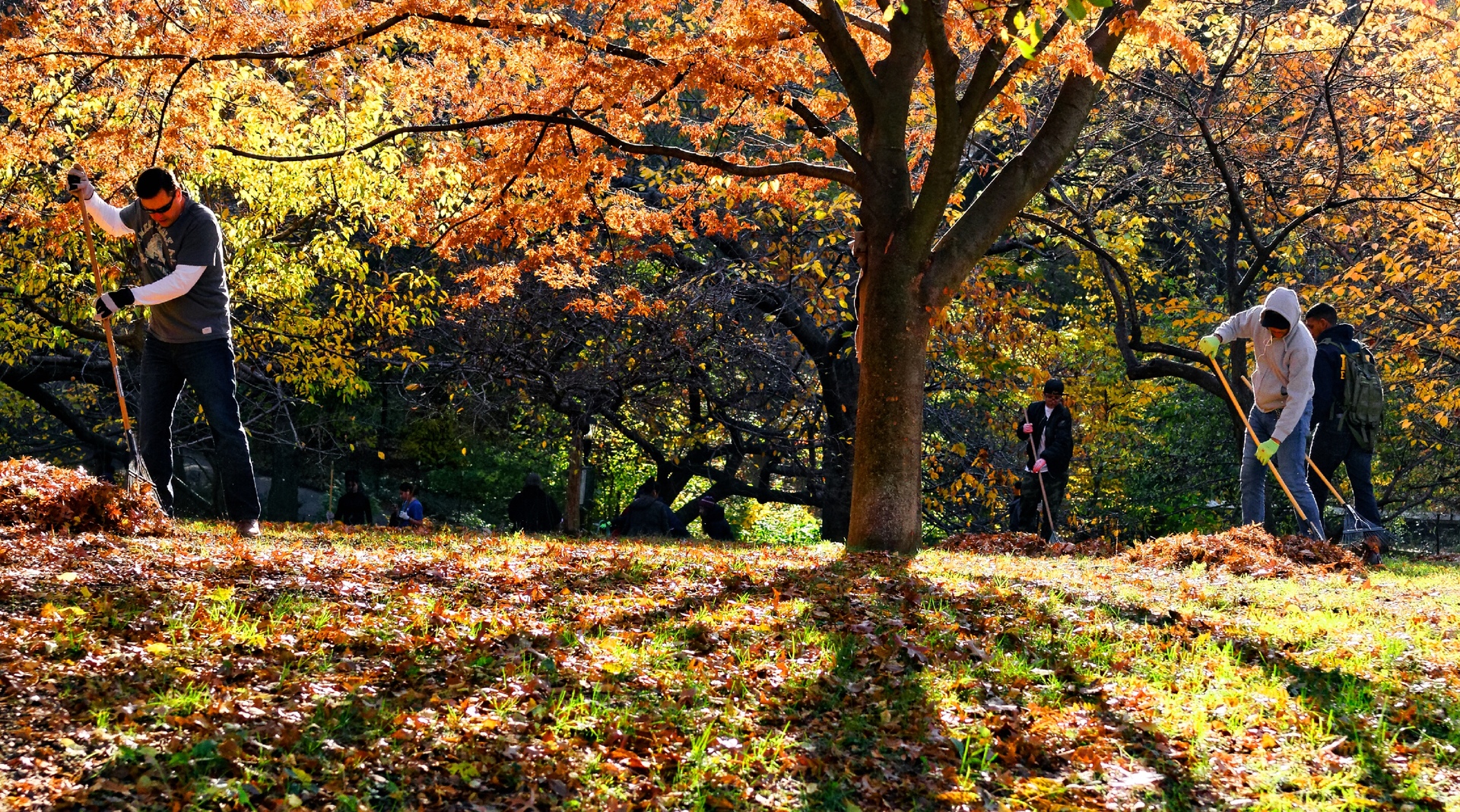Fall Home Improvement example photo