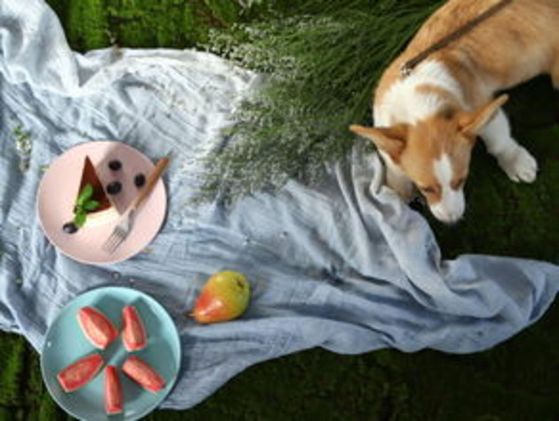 Urban Nature: Picnic in the Park example photo