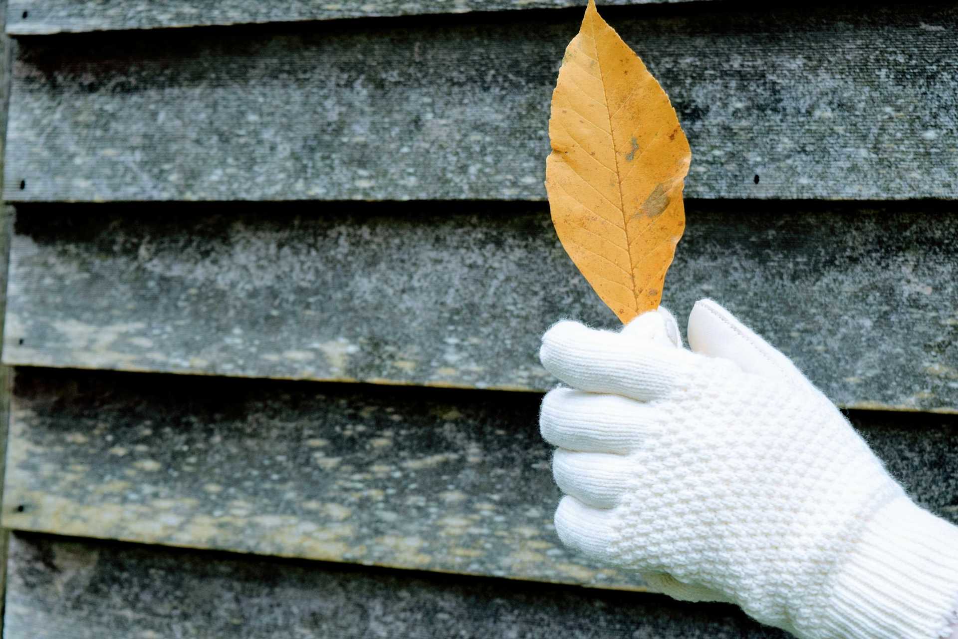 Show off your Isotoner Gloves! example photo