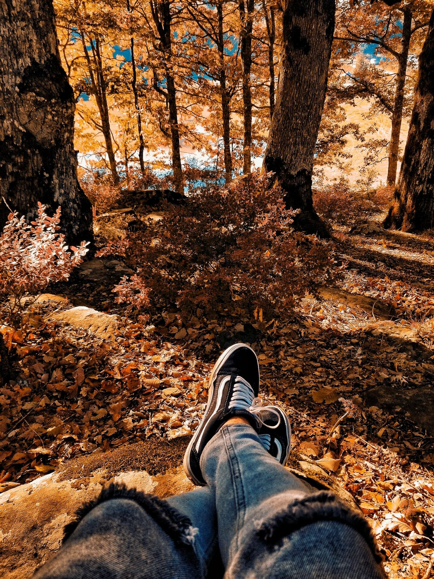 🏖️🍂 Battle: Summer vs. Fall example photo