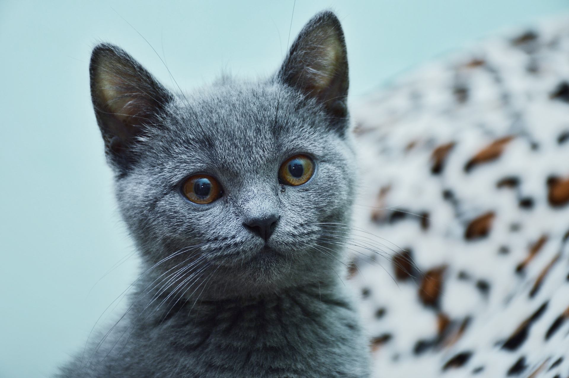 Cherished Home Accents example photo