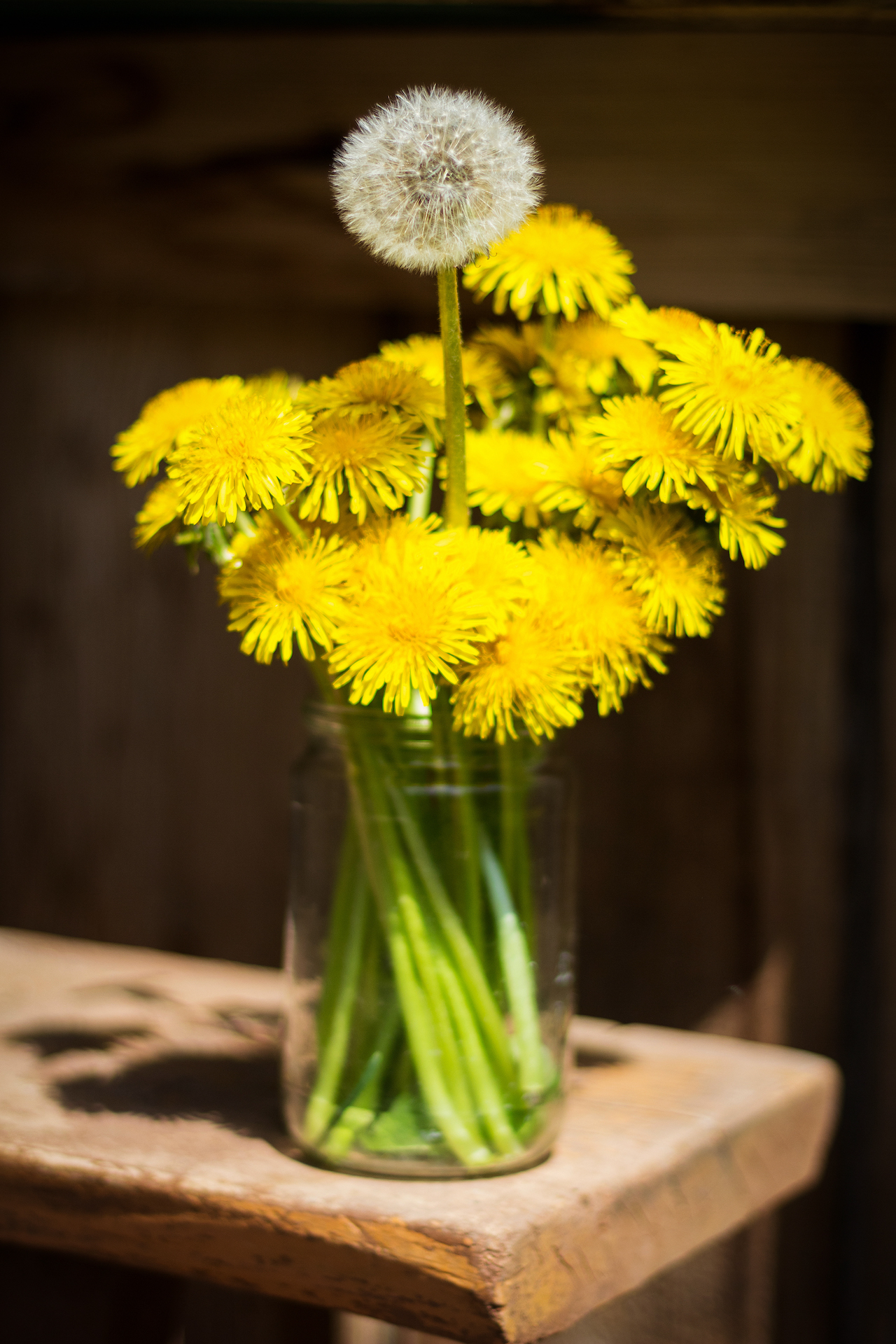 Colors of Spring example photo