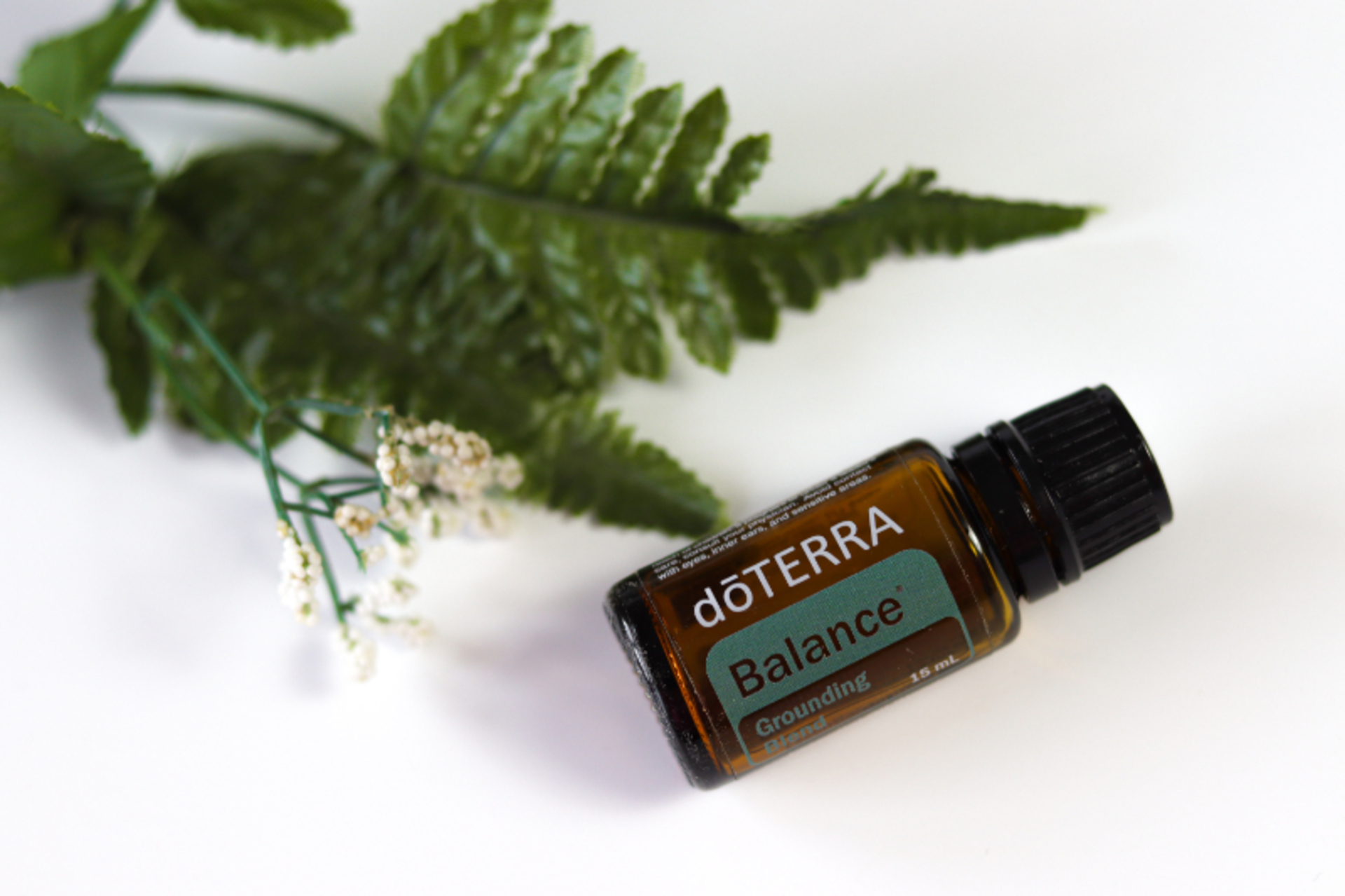 Join the beauty community! 320 🏆  $1,600 💵 example photo