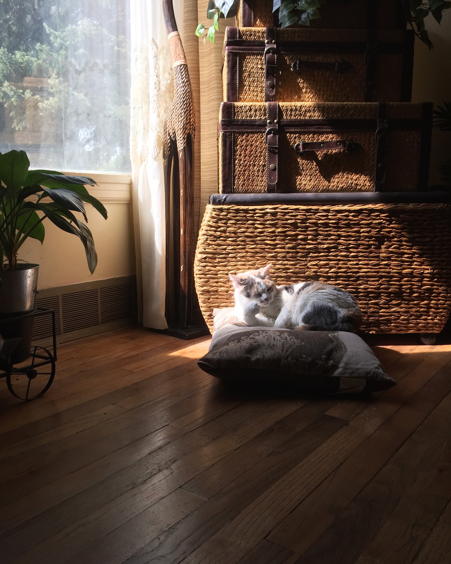 Favorite spot at home example photo