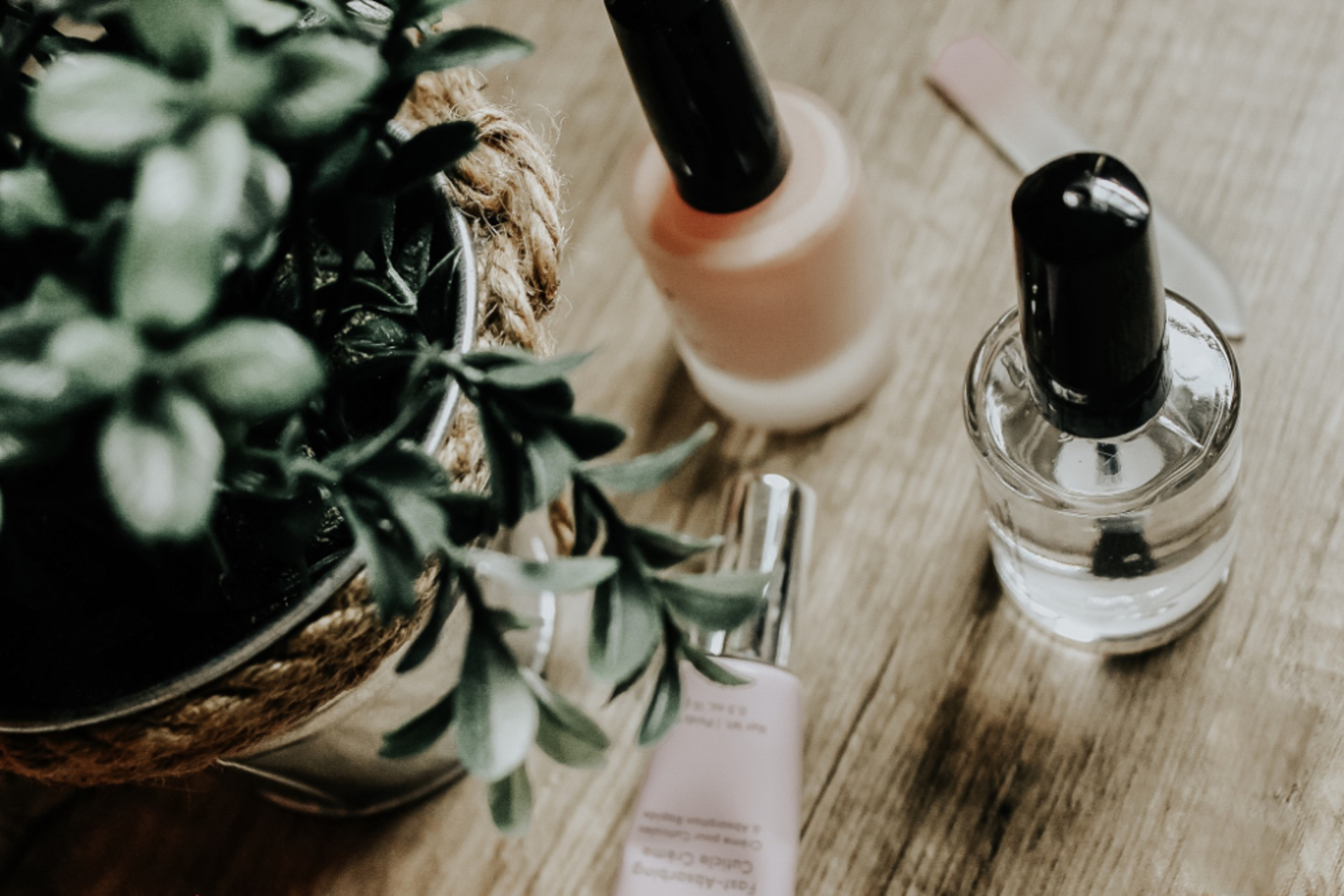 Join the beauty community! 320 🏆  $1,600 💵 example photo