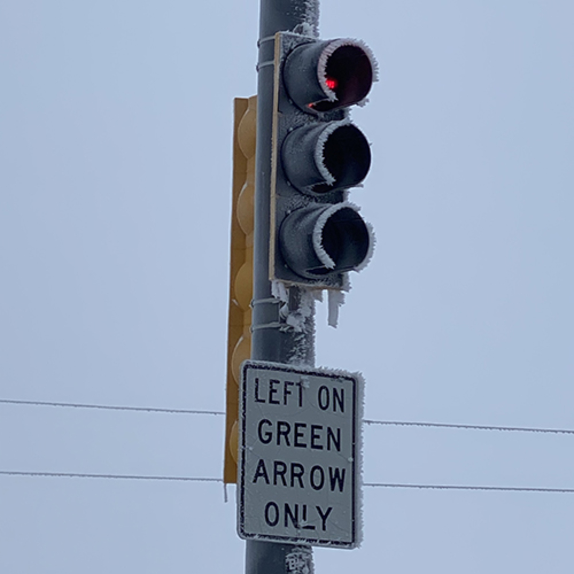 Frosty Marvels: Nature's Icy Artistry example photo