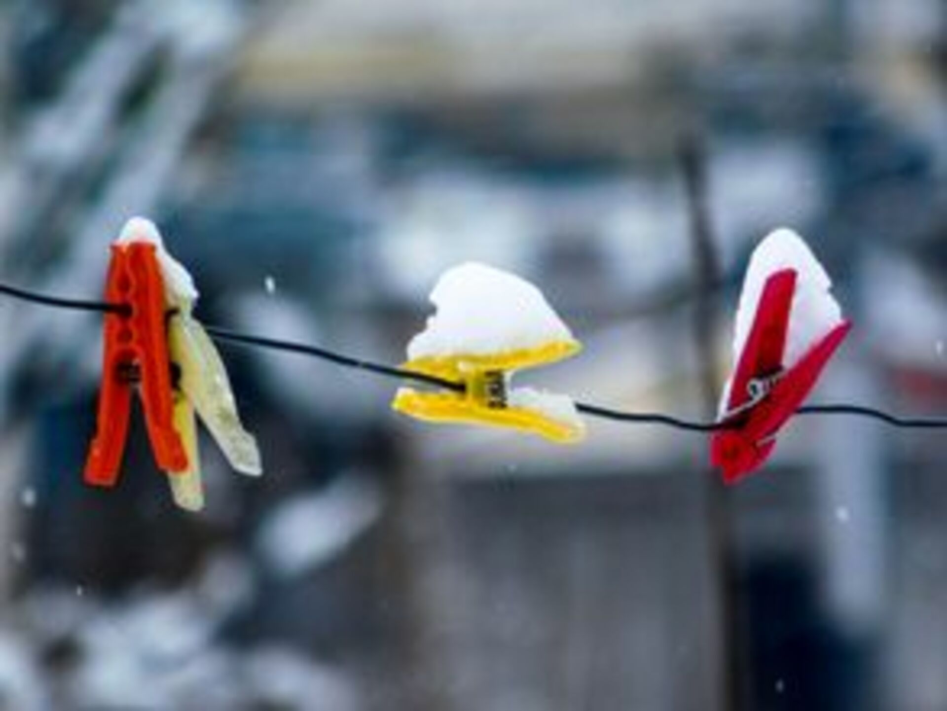 Battle: Winter vs. Spring example photo