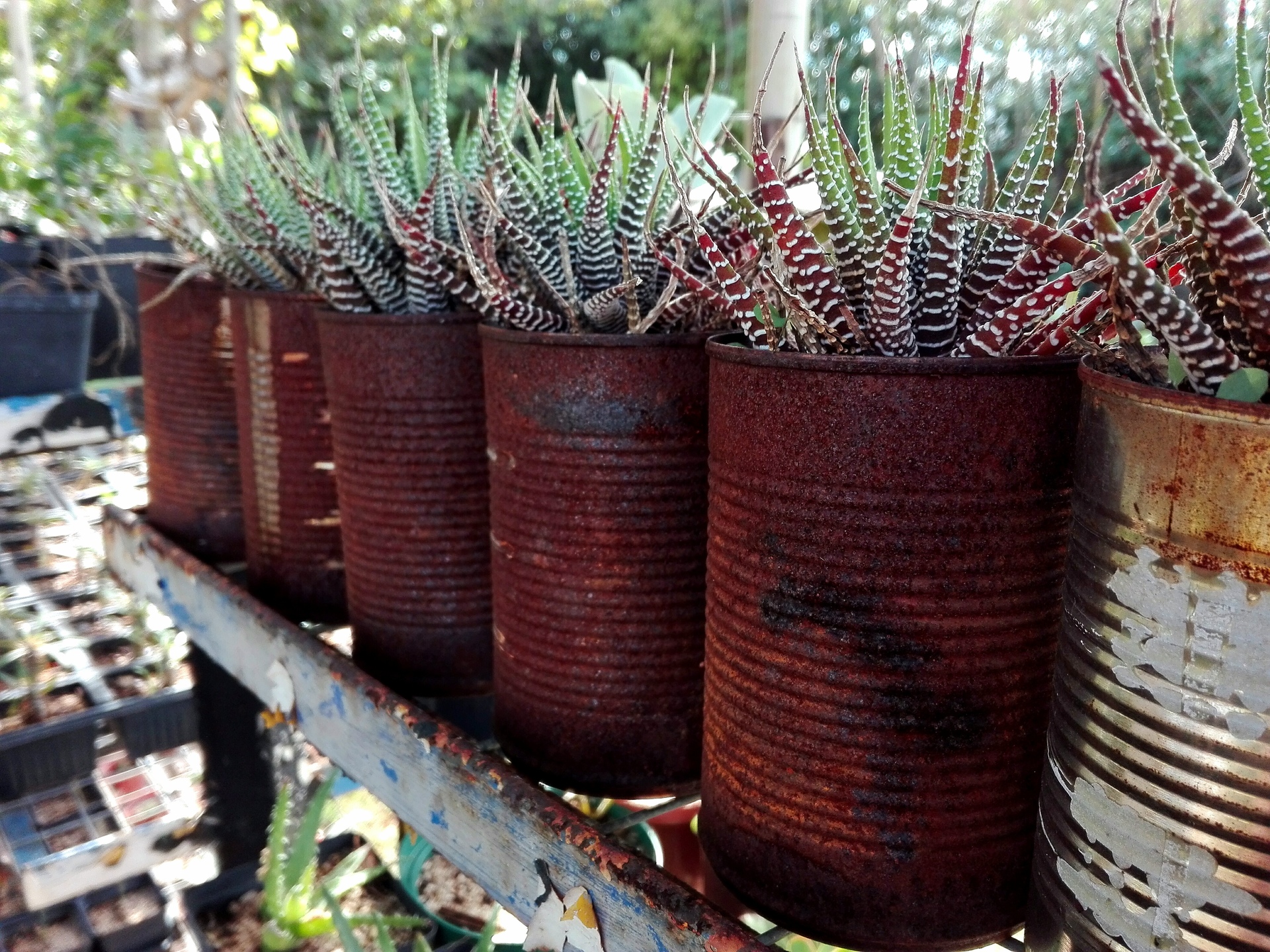 Zero Waste example photo