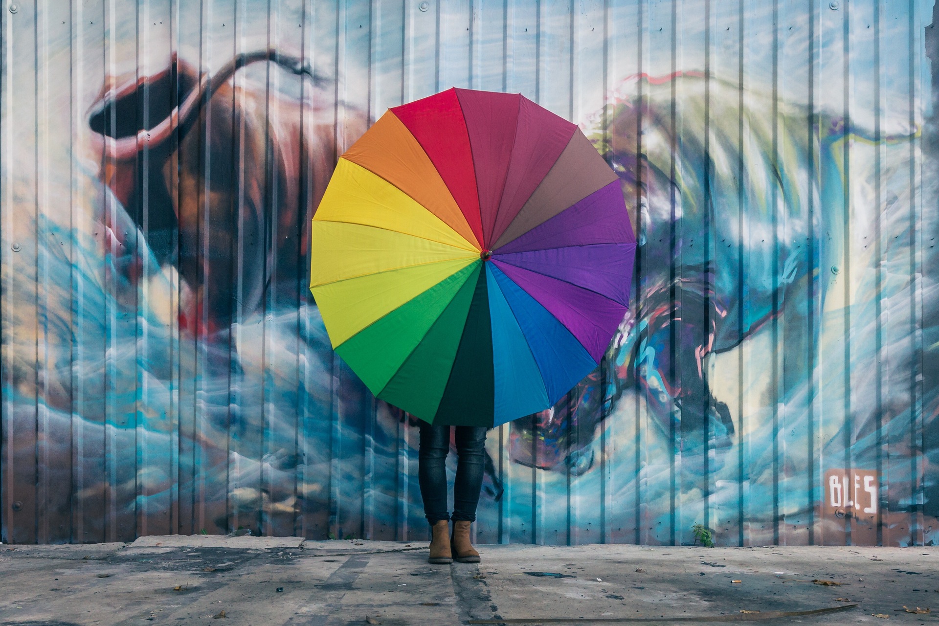 Geometry Series: Circle example photo