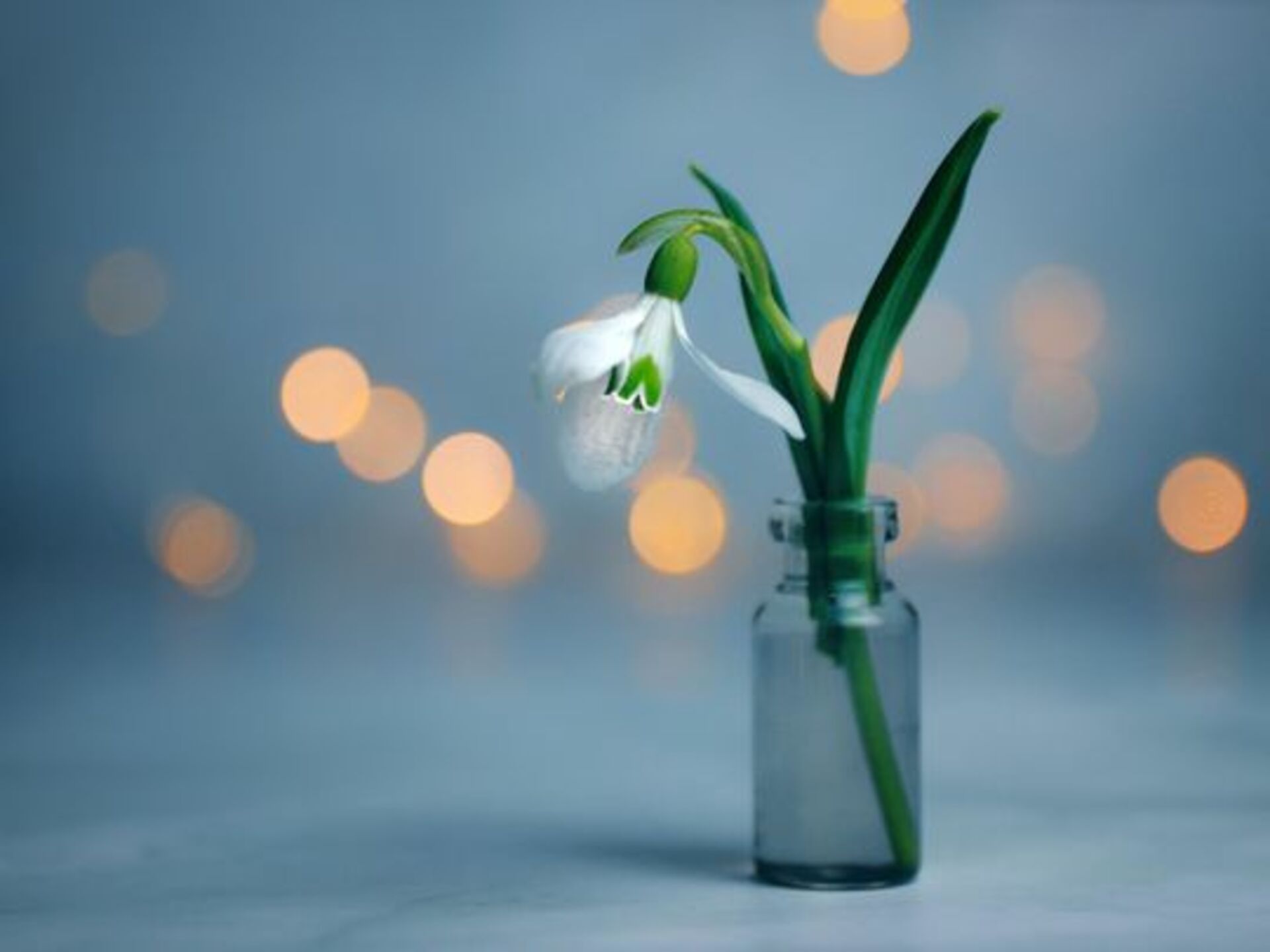 Flowers in a Vase example photo