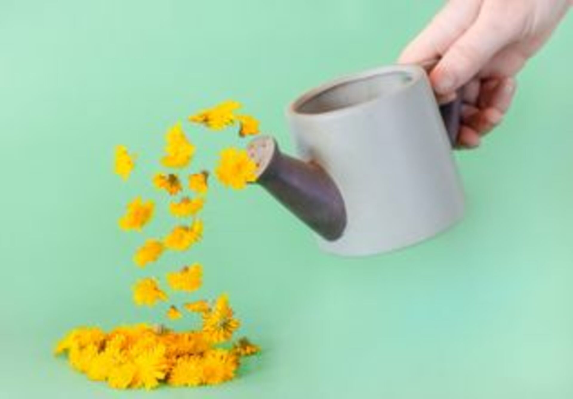 Battle: Winter vs. Spring    example photo