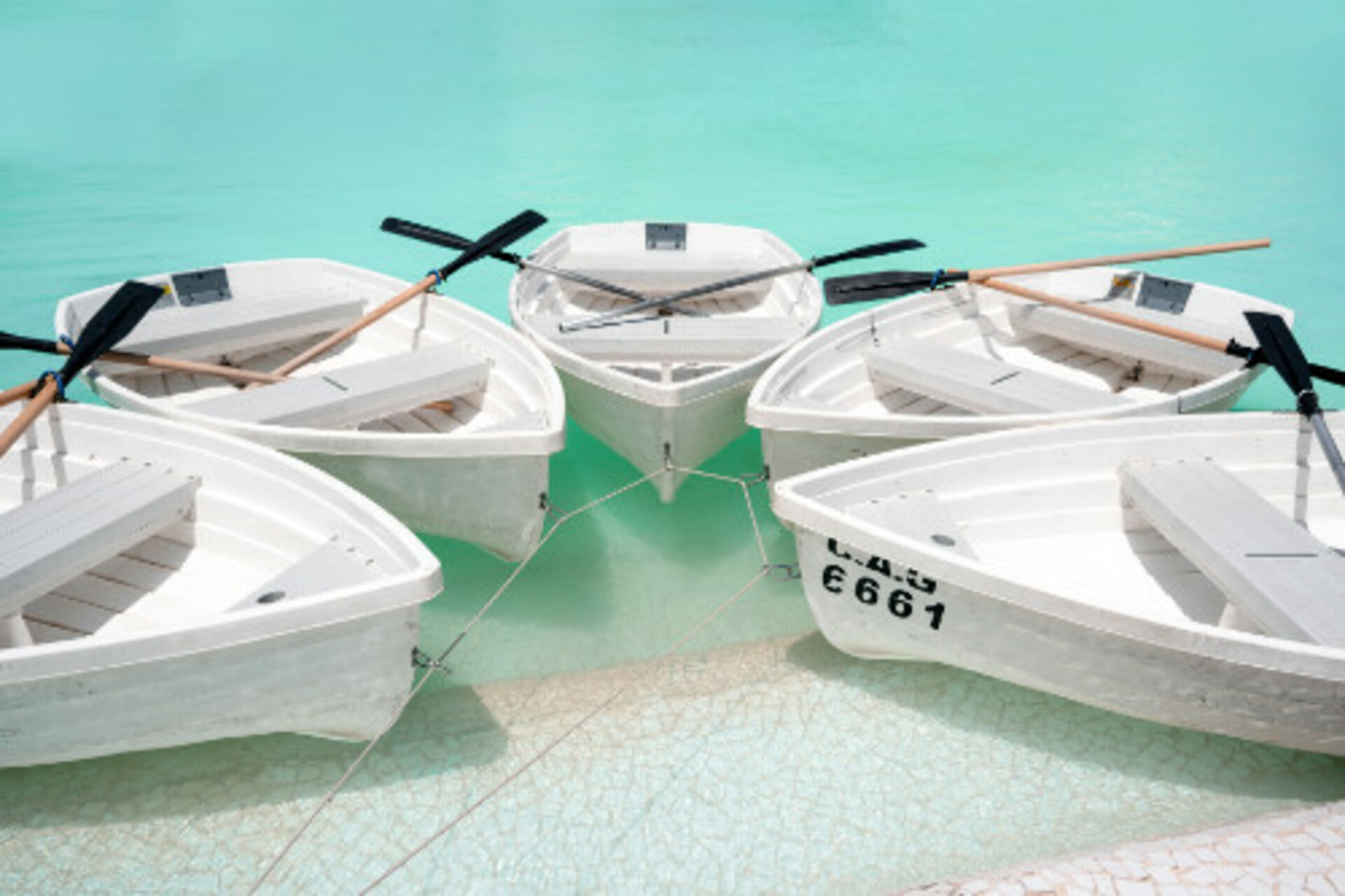 Color: White example photo