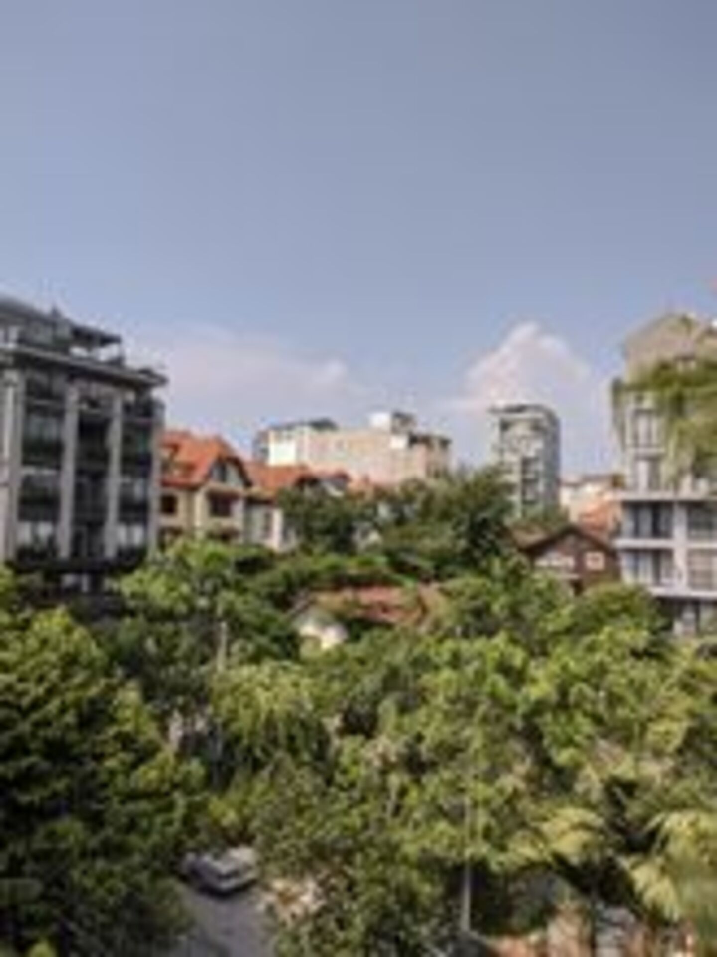 Urban Nature: Plants example photo