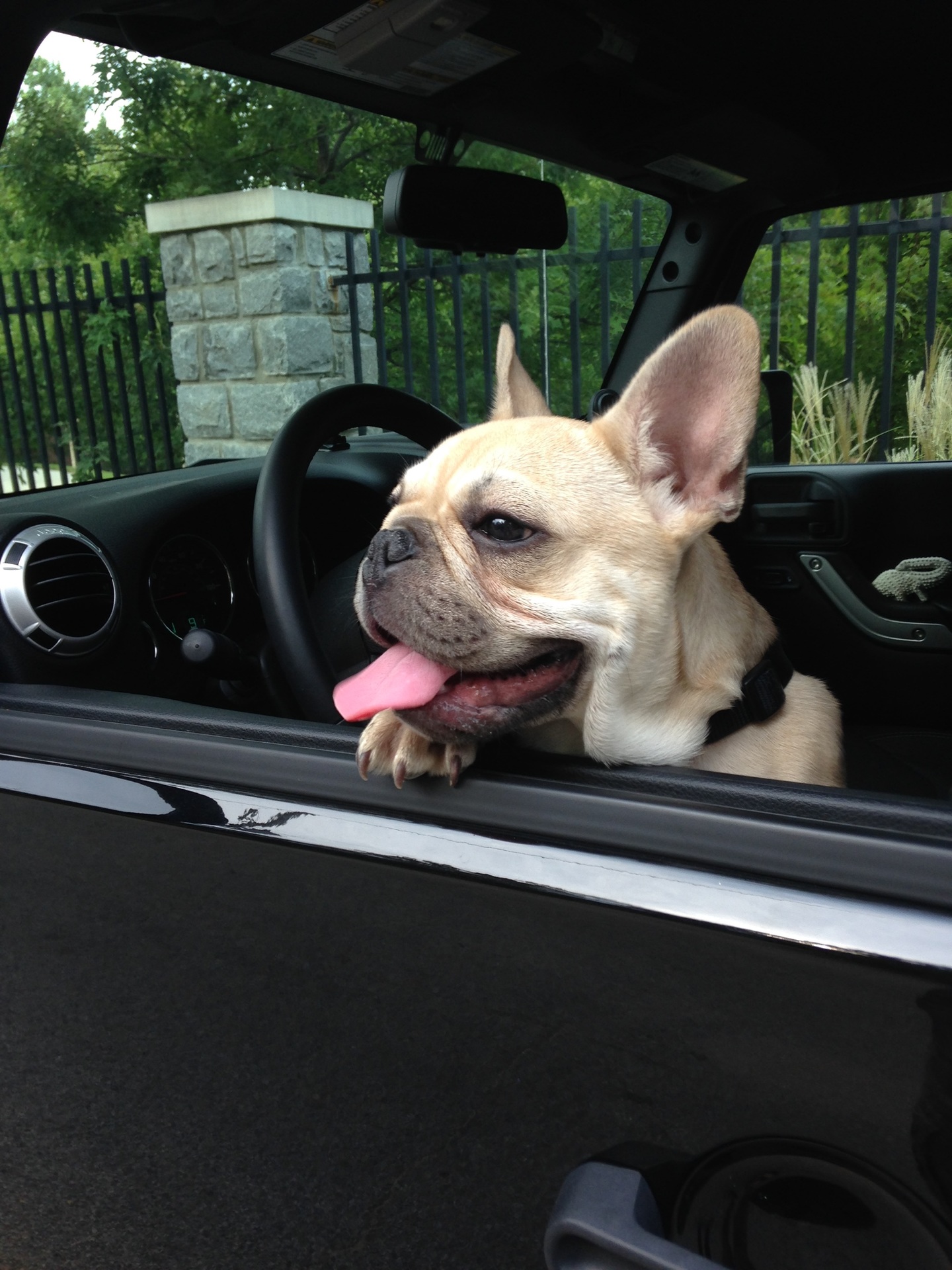 Buying a car example photo