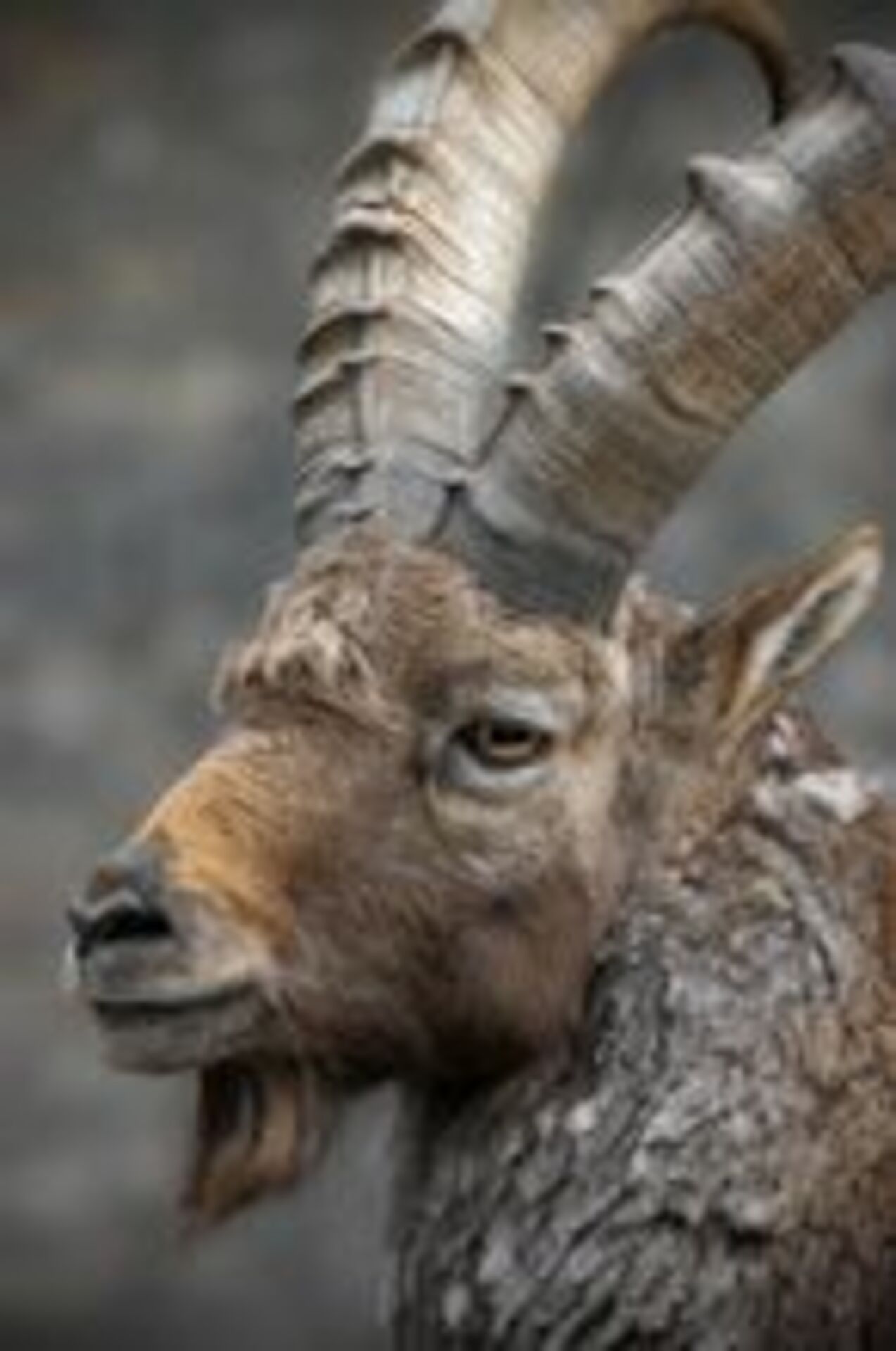 Vacation Series: Mountains example photo