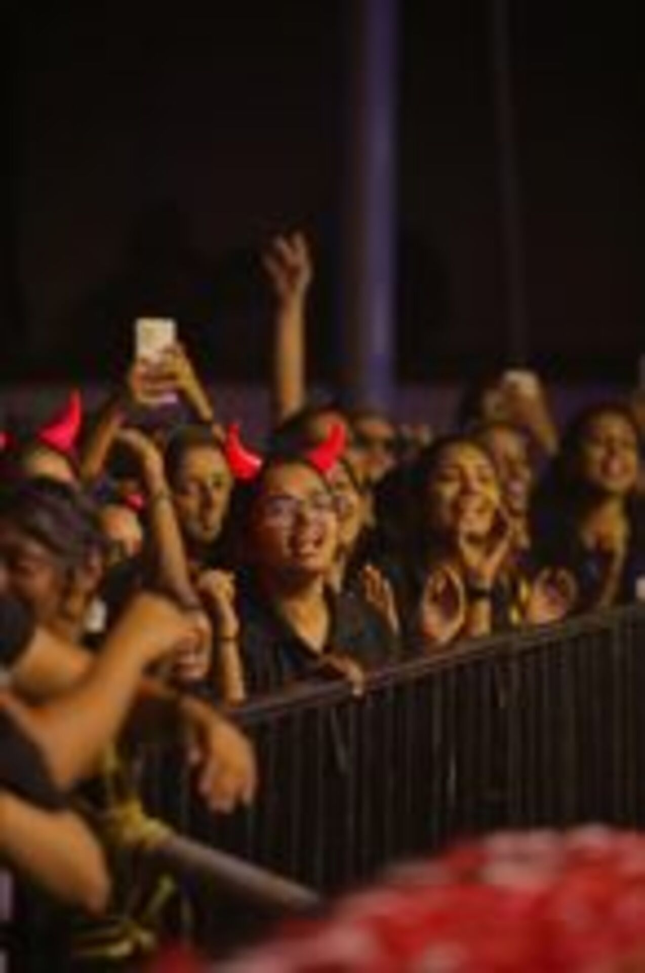 Introducing the Crowds Revolution!  example photo