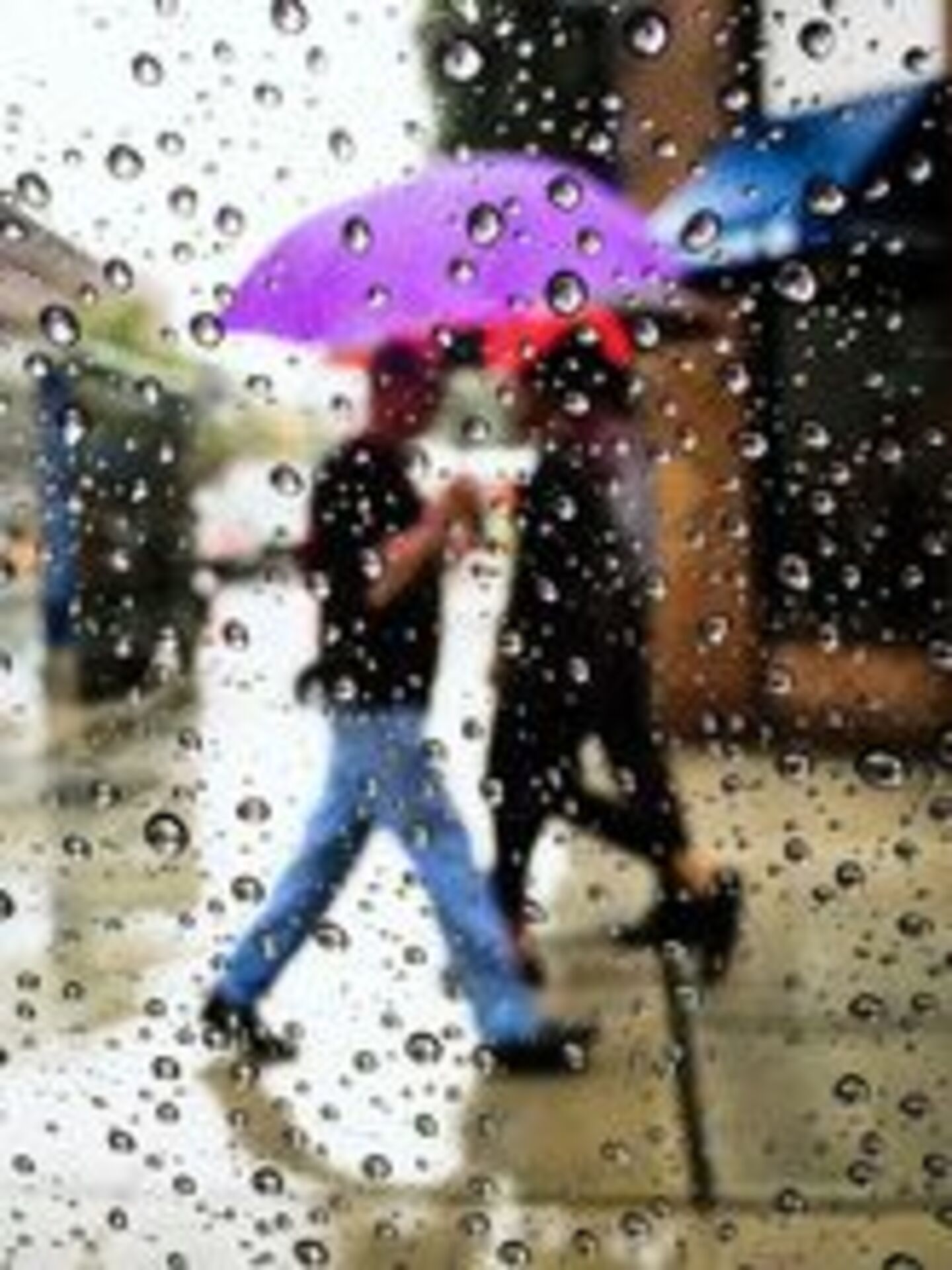 Battle: Summer vs. Spring example photo