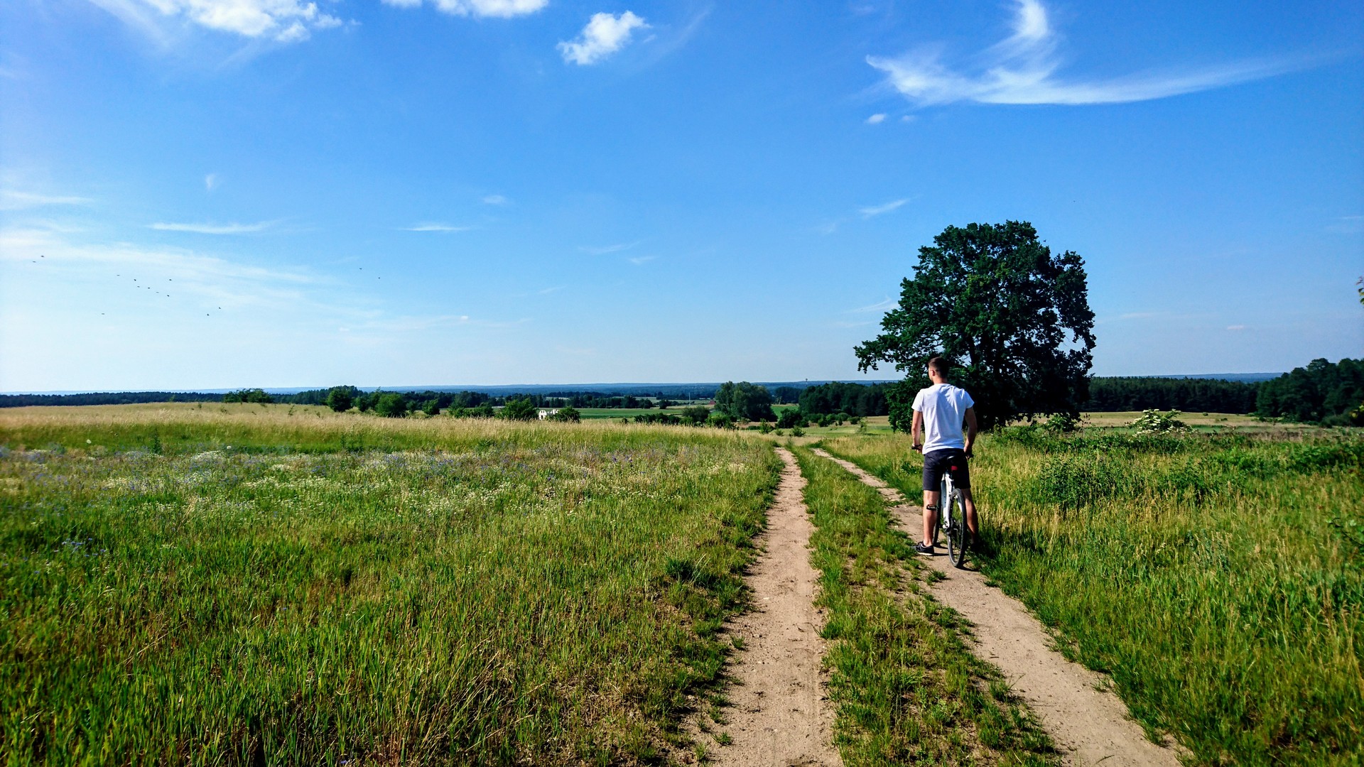 Cycling in Poland example photo