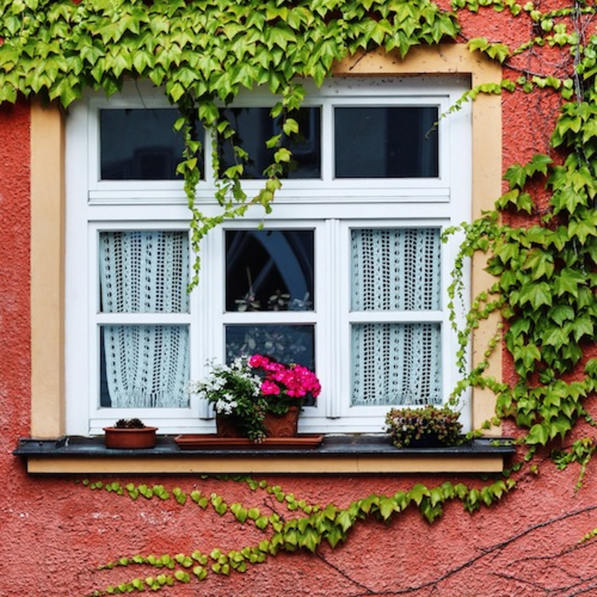 Windows around the World example photo