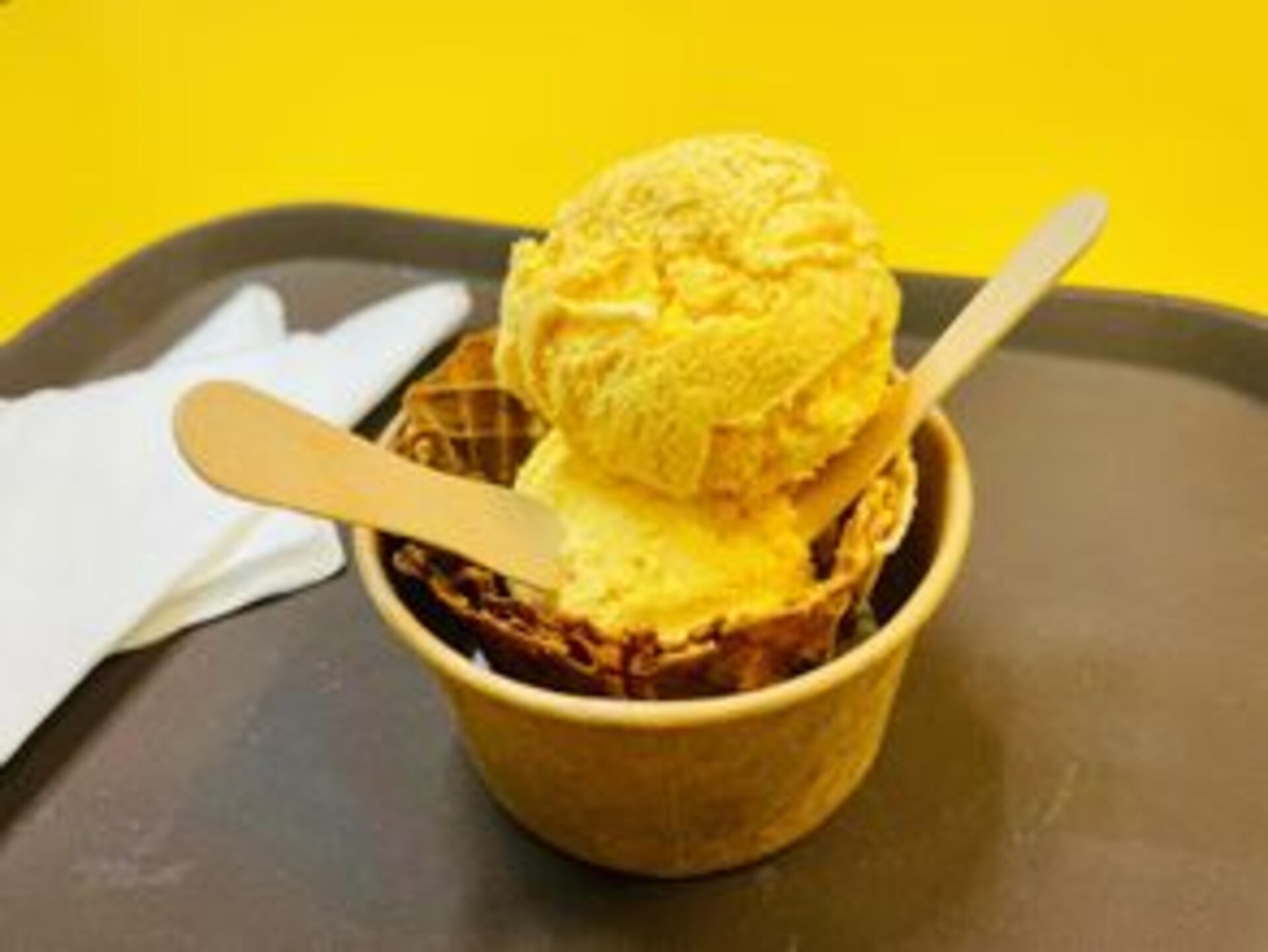 Battle: Summer vs. Spring example photo