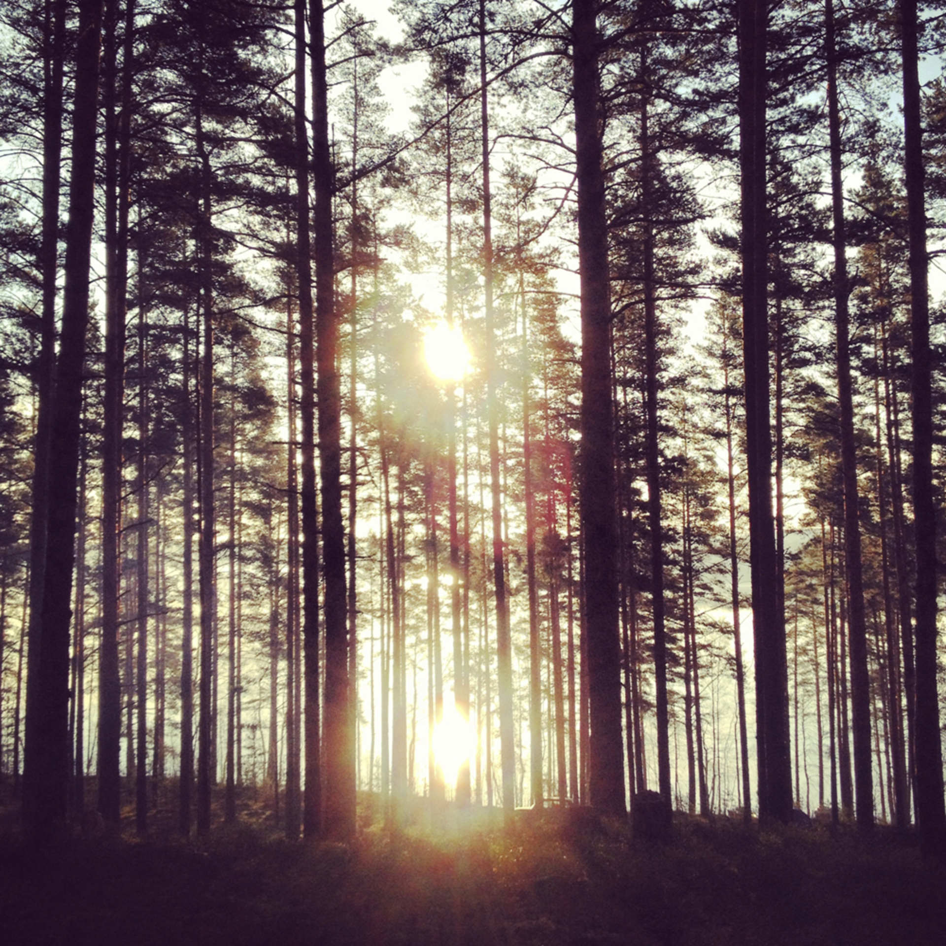 Show Us Your Most Memorable Vacation View example photo