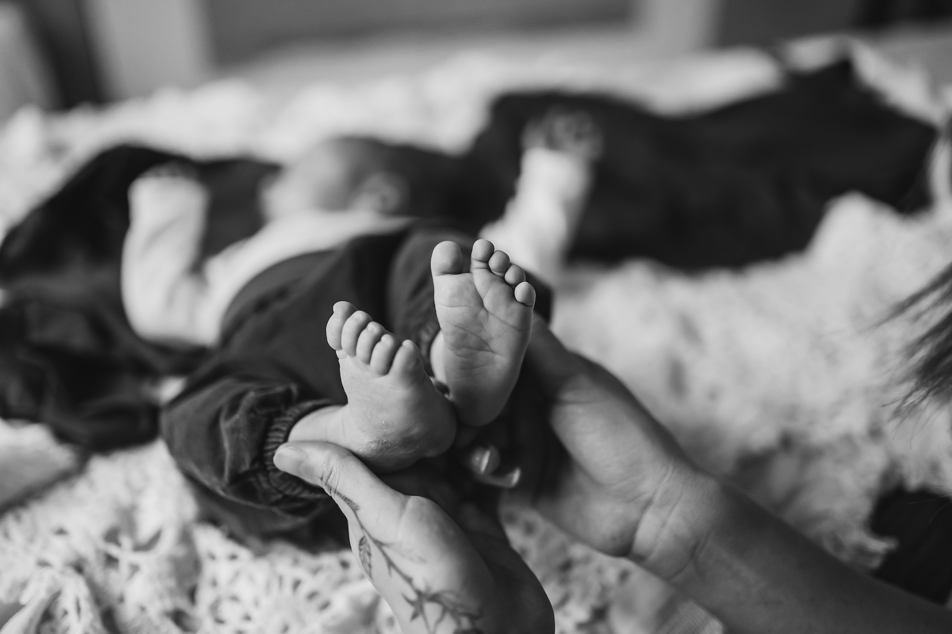 Editors' Choice: Photo of the Week   example photo