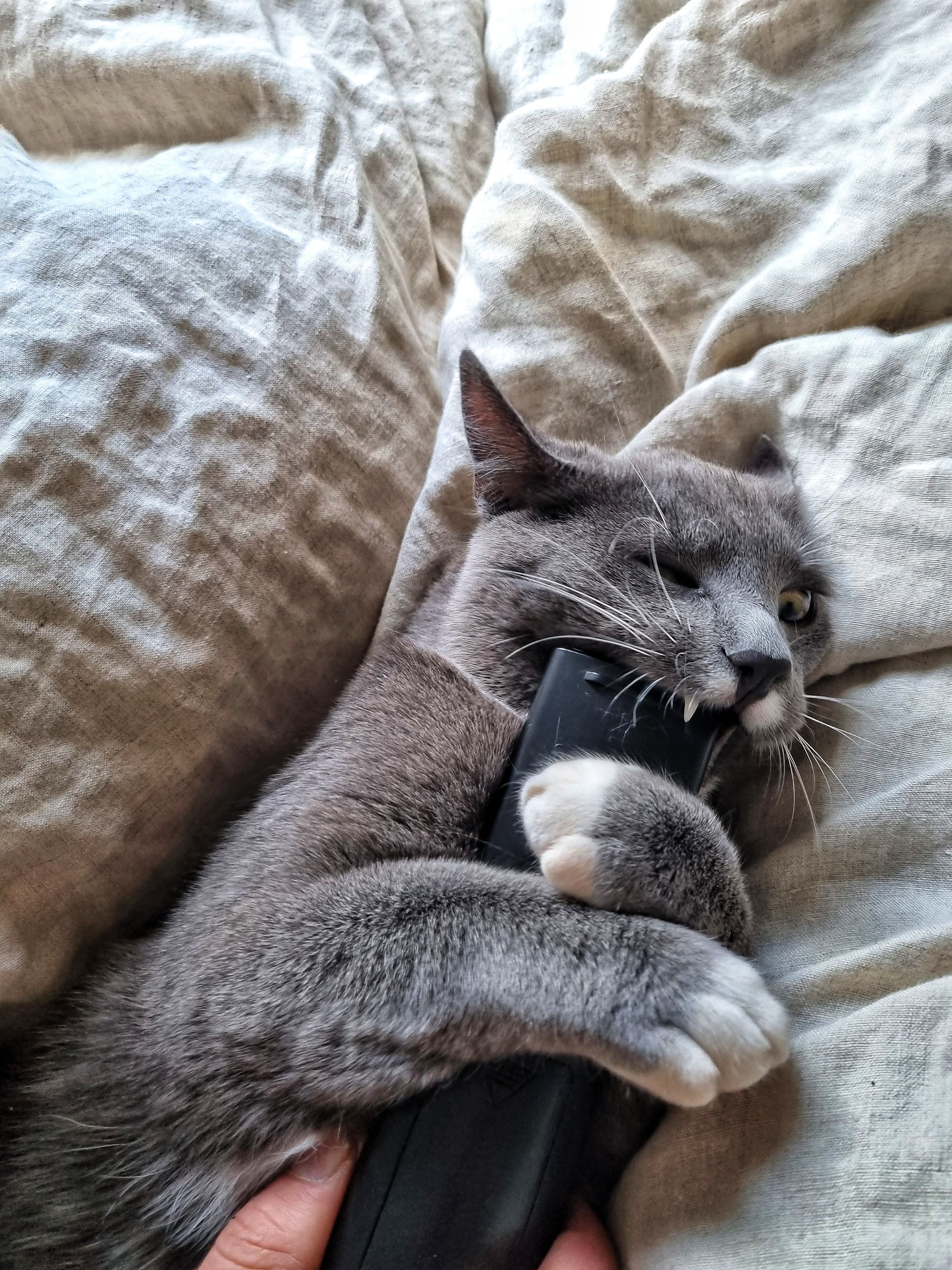 Toys we can’t let go! example photo