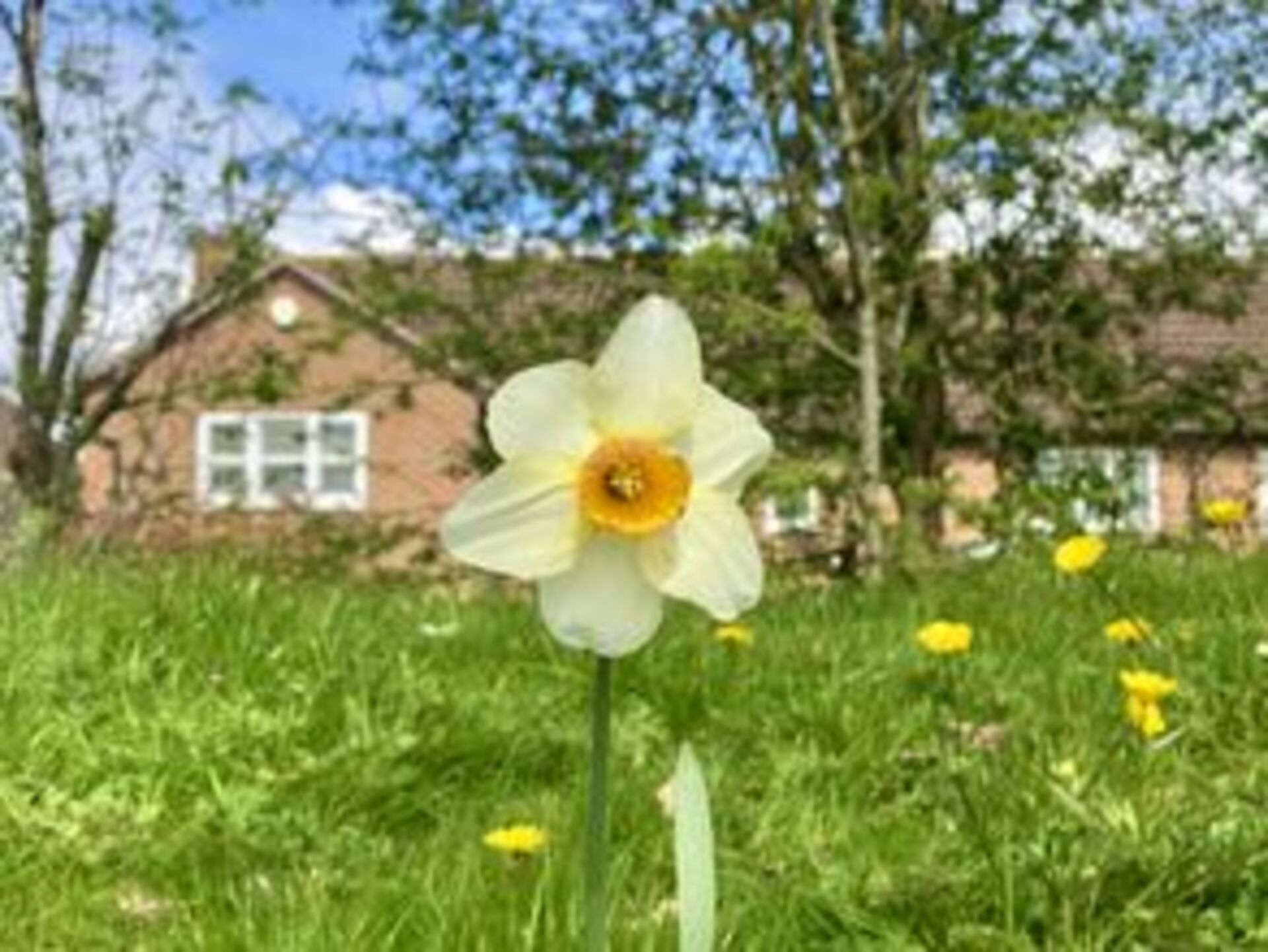 Battle: Summer vs. Spring example photo