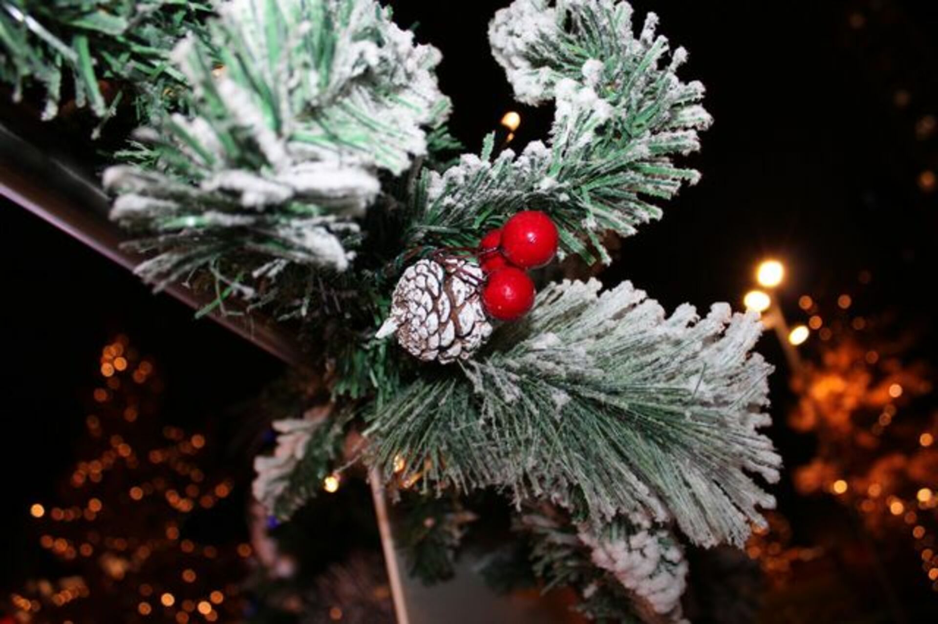 ⏰Quick Mission: What do you see? (Everybody Wins) example photo