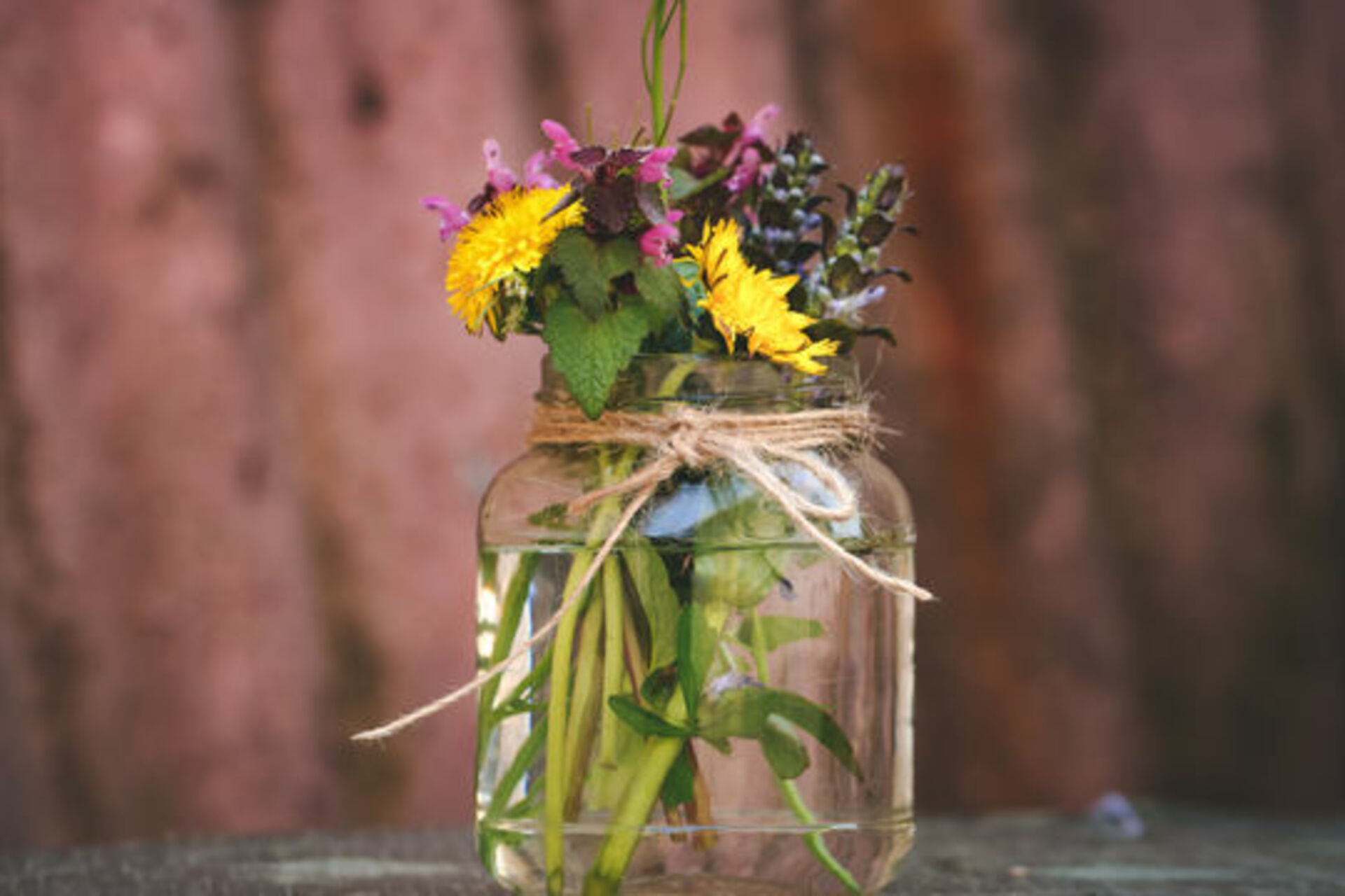 Flowers in a Vase example photo