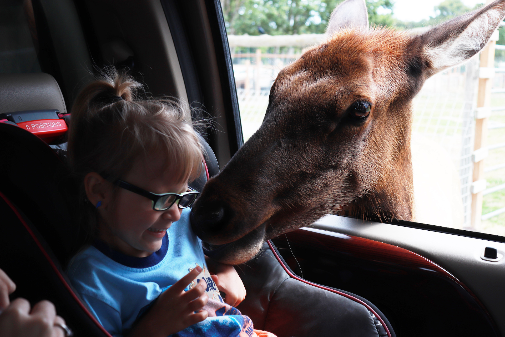 Kids' Week: Kids and Animals example photo